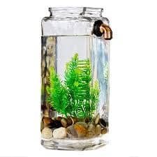 Aquarium 