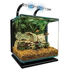 Aquarium 
